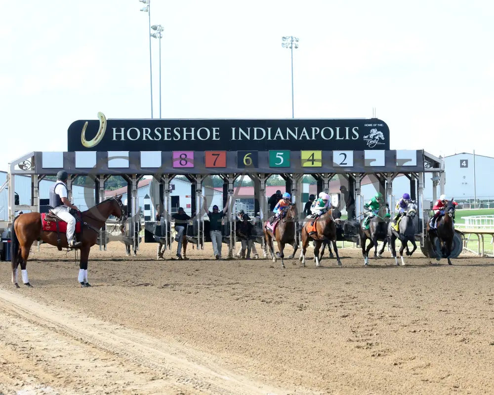 Chatalas - Indiana Oaks 29Th Running G3 07-06-24 R11 Horseshoe Start 02 Samantha Pagels Grand