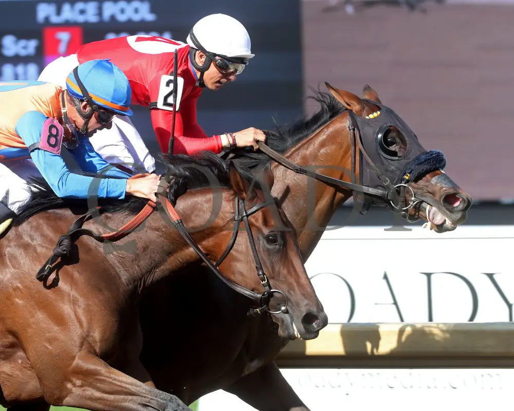 Chatalas - Indiana Oaks 29Th Running G3 07-06-24 R11 Horseshoe Tight Finish 01 Grand