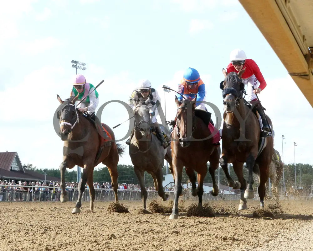 Chatalas - Indiana Oaks 29Th Running G3 07-06-24 R11 Horseshoe Under Rail 01 Grand