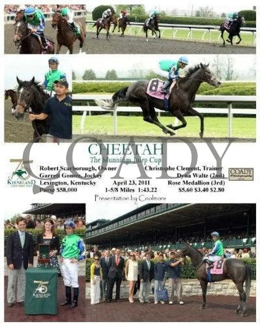 Cheetah - 042311 Race 04 Keeneland