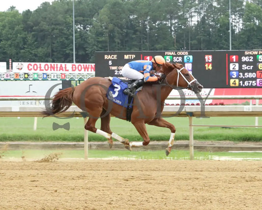 Cheetara - 07-18-24 R05 Cnl Colonial Downs