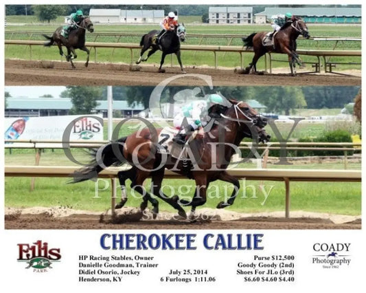Cherokee Callie - 072514 Race 02 Elp Ellis Park
