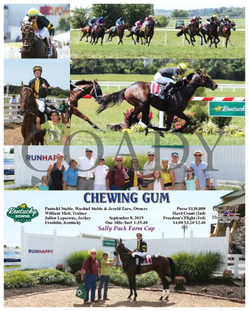 Chewing Gum - 09-08-19 R01 Kd Kentucky Downs