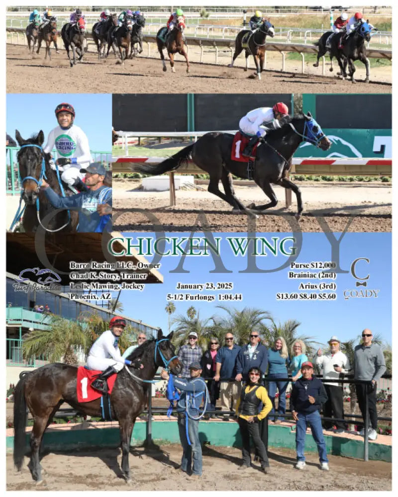 Chicken Wing - 01-23-25 R04 Tup Turf Paradise