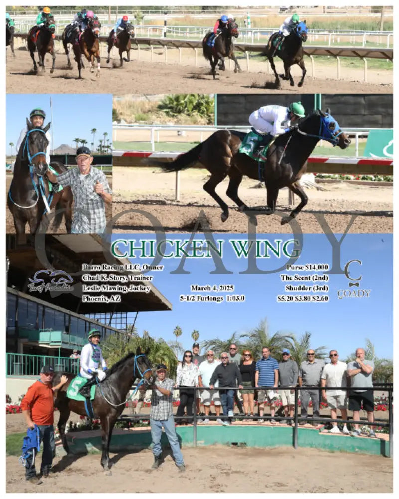 CHICKEN WING - 03-04-25 - R05 - TUP Turf Paradise