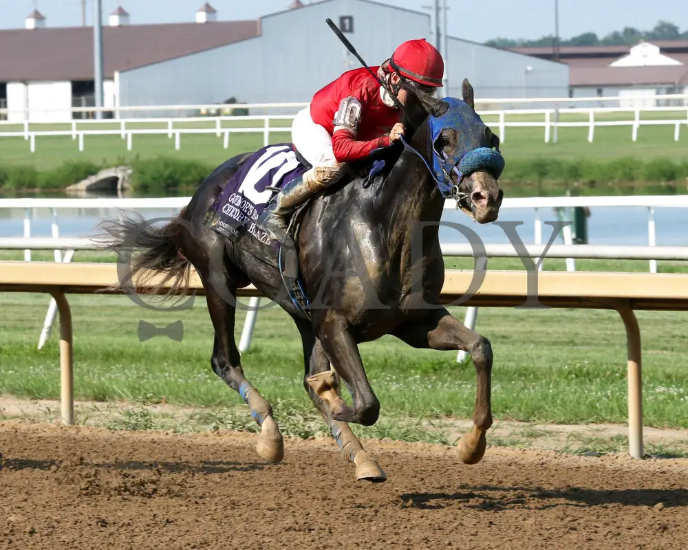 CHICORY BLAZE - The Governor’s Handicap - 22nd Running - 07-30-25 - R08 - Horseshoe Indiana - Finish 02 - Sammantha