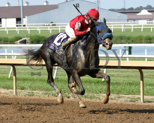 CHICORY BLAZE - The Governor’s Handicap - 22nd Running - 07-30-25 - R08 - Horseshoe Indiana - Finish 02 - Sammantha