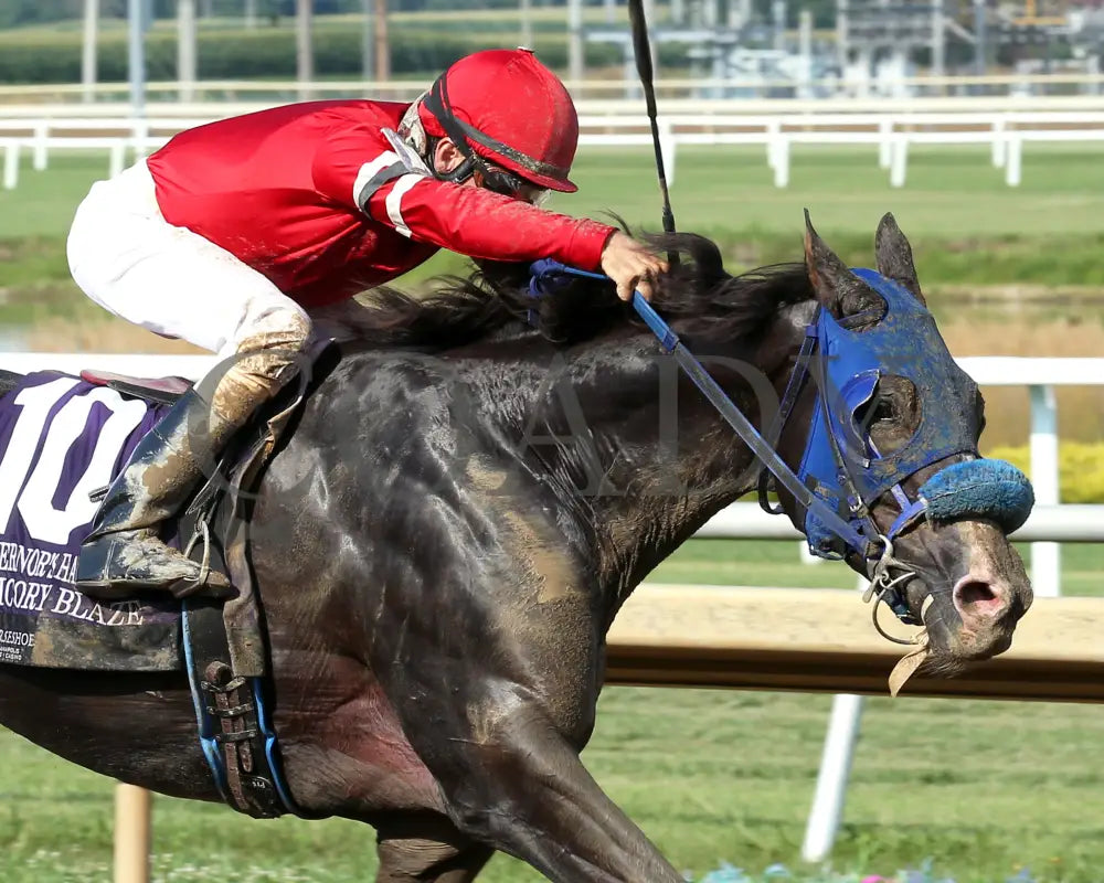 CHICORY BLAZE - The Governor’s Handicap - 22nd Running - 07-30-25 - R08 - Horseshoe Indiana - Tight Finish 01 - Eli