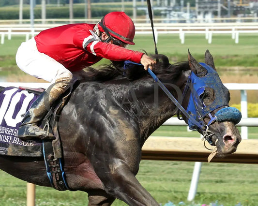 CHICORY BLAZE - The Governor’s Handicap - 22nd Running - 07-30-25 - R08 - Horseshoe Indiana - Tight Finish 01 - Eli