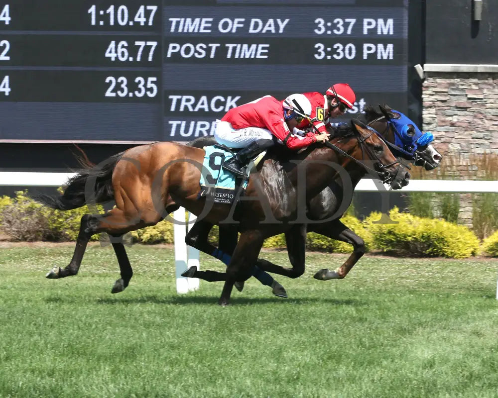 CHICORY BLAZE - The Snack - 07-05-25 - R07 - Horseshoe Indiana - Finish 01 - Samantha Pagels Indiana Grand