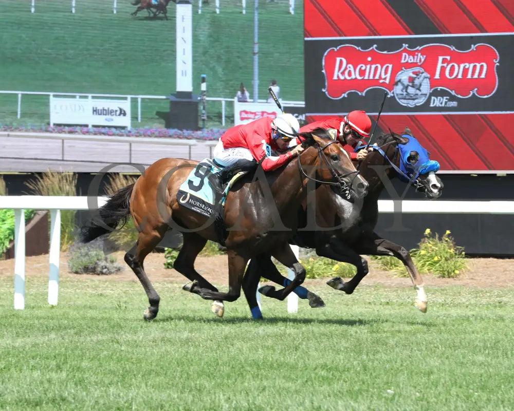 CHICORY BLAZE - The Snack - 07-05-25 - R07 - Horseshoe Indiana - Finish 02 - Ashleigh Schlitt Indiana Grand