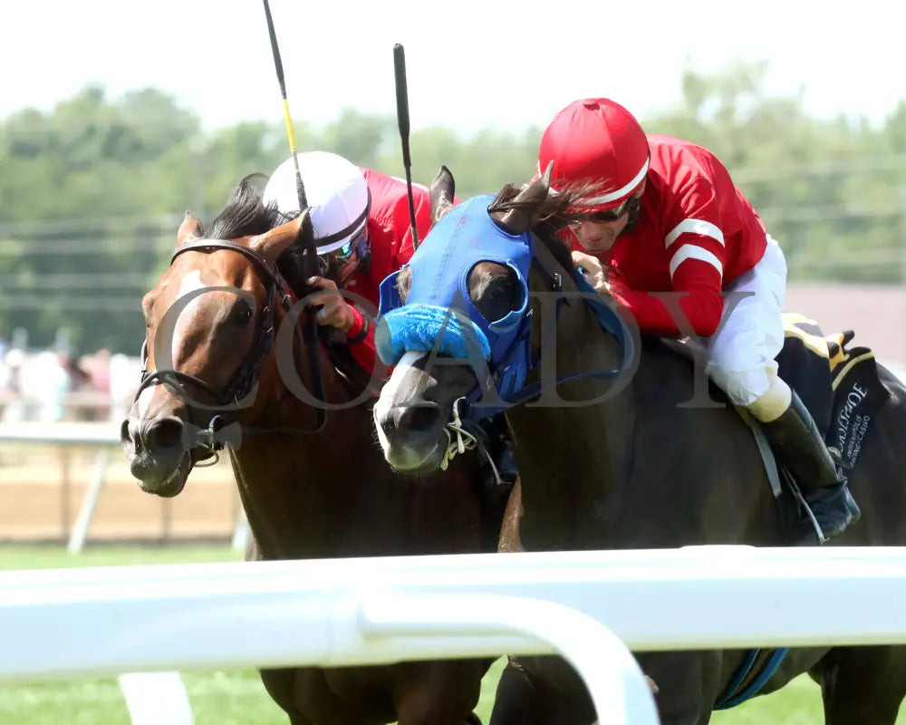 CHICORY BLAZE - The Snack - 07-05-25 - R07 - Horseshoe Indiana - Inside Finish 01 - Renee Torbit Indiana Grand