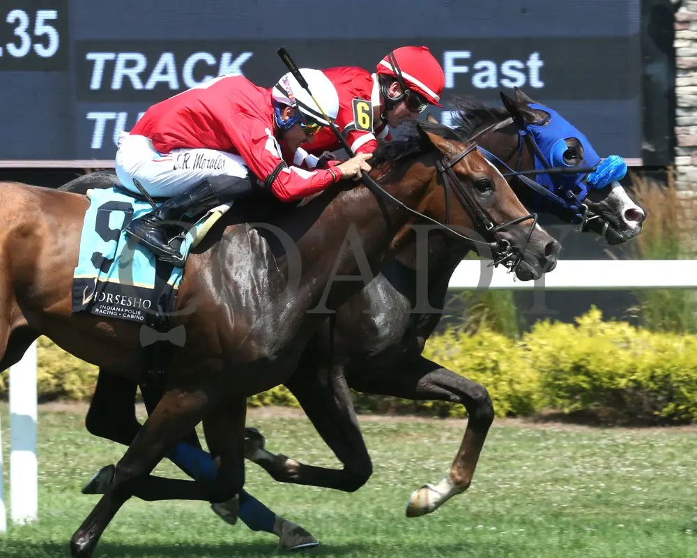CHICORY BLAZE - The Snack - 07-05-25 - R07 - Horseshoe Indiana - Tight Finish 01 - Eli Davis Indiana Grand