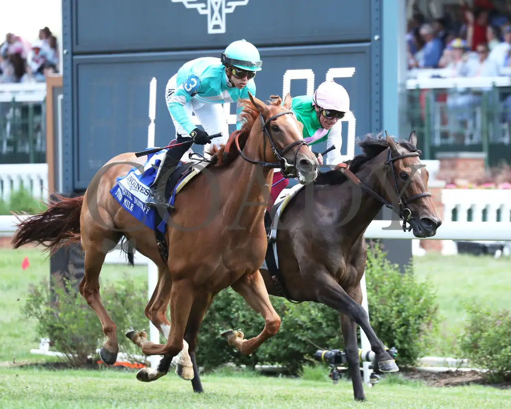 Chili Flag - The Longines Churchill Distaff Turf Mile G2 05-04-24 R07 Downs Gallop Out 01 Ashley