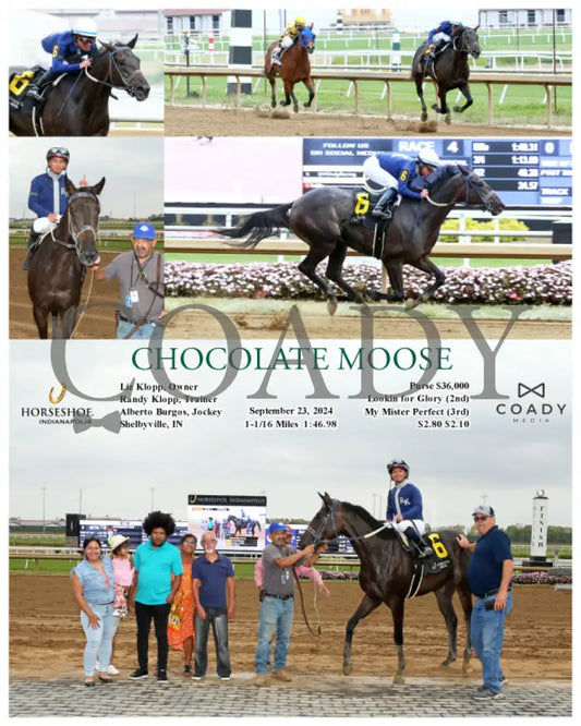 Chocolate Moose - 09-23-24 R04 Ind Indiana Grand