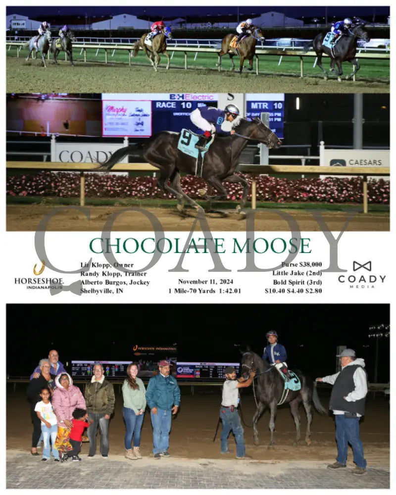 Chocolate Moose - 11-11-24 R10 Ind Indiana Grand