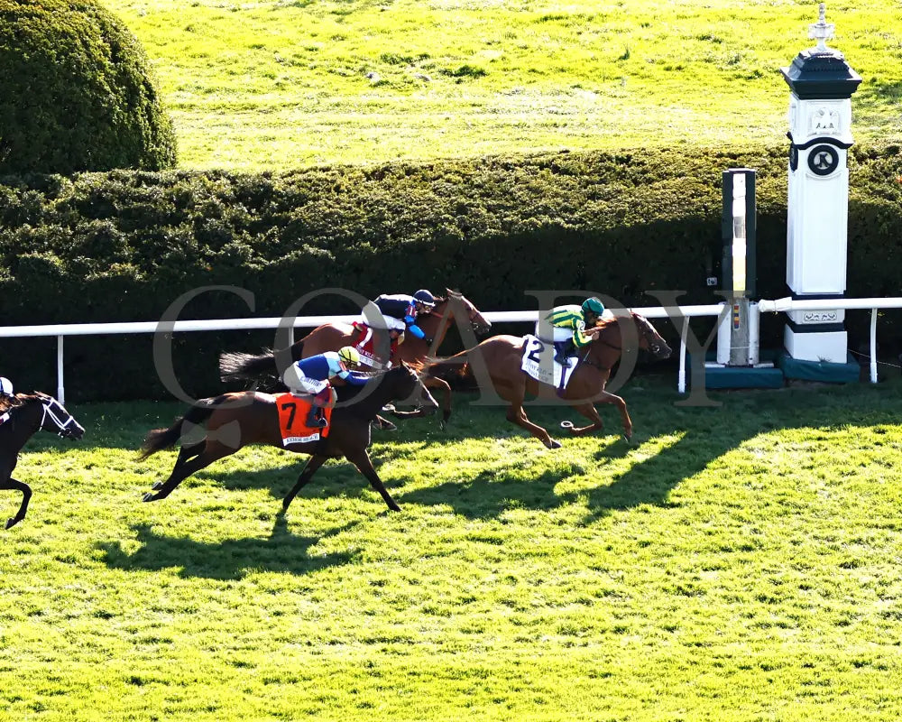 CHOISYA - The Jenny Wiley G1 - 04-12-25 - R10 - KEE - Aerial Finish 01 Keeneland