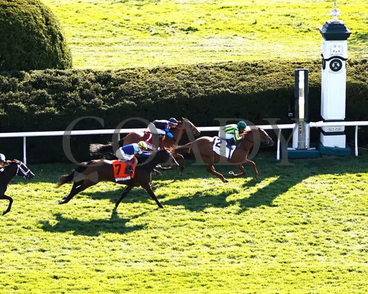 CHOISYA - The Jenny Wiley G1 - 04-12-25 - R10 - KEE - Aerial Finish 01 Keeneland
