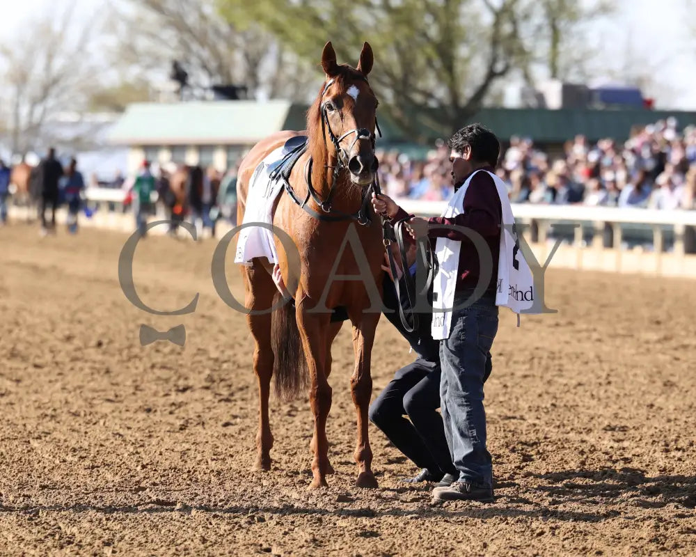 CHOISYA - The Jenny Wiley G1 - 04-12-25 - R10 - KEE - Come Back 04 Keeneland