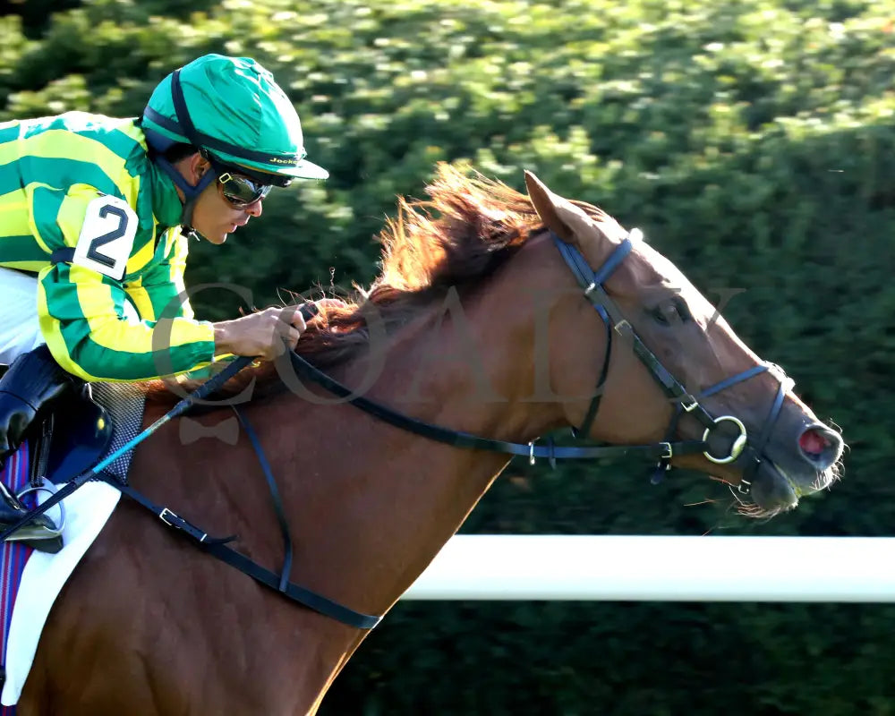 CHOISYA - The Jenny Wiley G1 - 04-12-25 - R10 - KEE - Finish 04 Keeneland
