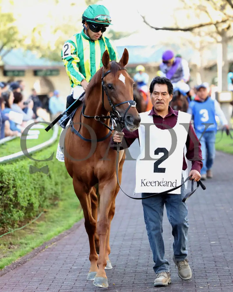CHOISYA - The Jenny Wiley G1 - 04-12-25 - R10 - KEE - Paddock 02 Keeneland