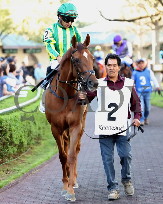CHOISYA - The Jenny Wiley G1 - 04-12-25 - R10 - KEE - Paddock 02 Keeneland