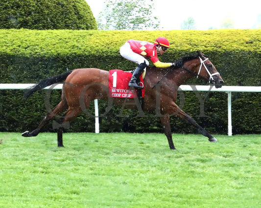 Chop - The Bewitch G3 62Nd Running 04-26-24 R08 Kee Race Course Finish 01 Keeneland