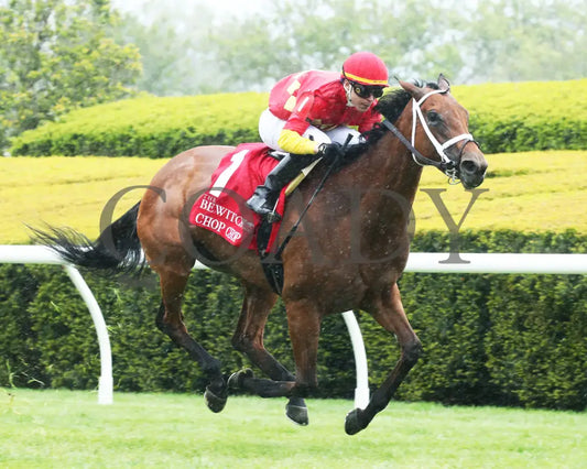 Chop - The Bewitch G3 62Nd Running 04-26-24 R08 Kee Race Course Finish 02 Keeneland