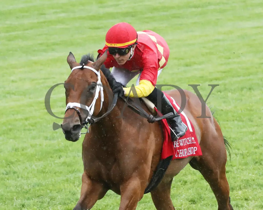 Chop - The Bewitch G3 62Nd Running 04-26-24 R08 Kee Race Course Inside Finish 01 Keeneland