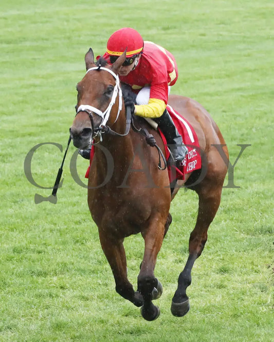 Chop - The Bewitch G3 62Nd Running 04-26-24 R08 Kee Race Course Inside Finish 02 Keeneland