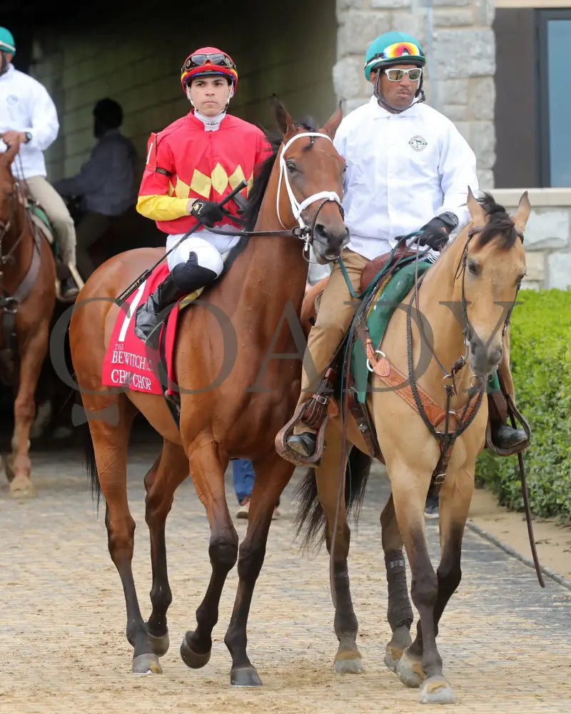 Chop - The Bewitch G3 62Nd Running 04-26-24 R08 Kee Race Course Post Parade 01 Keeneland