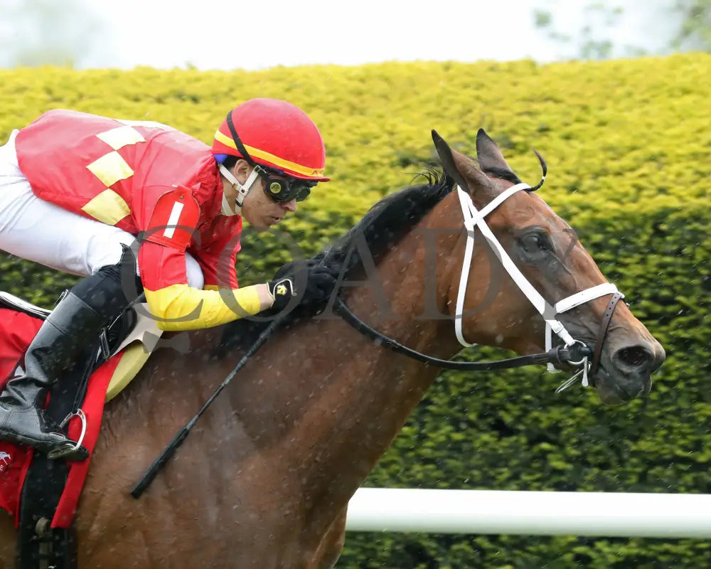 Chop - The Bewitch G3 62Nd Running 04-26-24 R08 Kee Race Course Tight Finish 01 Keeneland