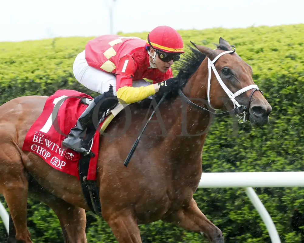 Chop - The Bewitch G3 62Nd Running 04-26-24 R08 Kee Race Course Tight Finish 02 Keeneland