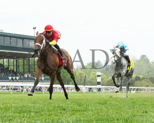 Chop - The Bewitch G3 62Nd Running 04-26-24 R08 Kee Race Course Under Rail 01 Keeneland