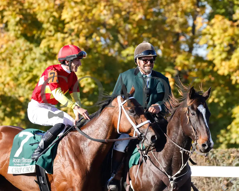 Chop - The Rood & Riddle Dowager G3 10-20-24 R08 Kee Come Back 01 Keeneland