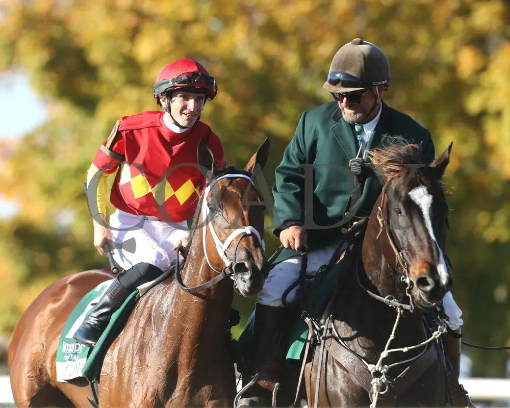 Chop - The Rood & Riddle Dowager G3 10-20-24 R08 Kee Come Back 02 Keeneland