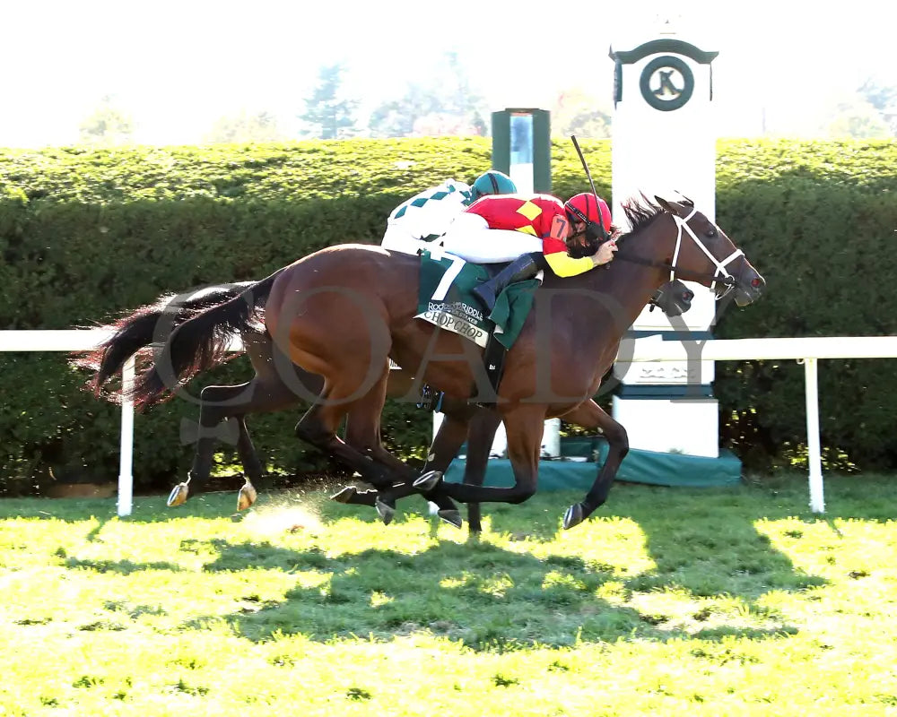 Chop - The Rood & Riddle Dowager G3 10-20-24 R08 Kee Finish 01 Keeneland