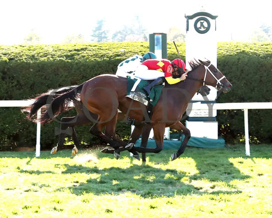 Chop - The Rood & Riddle Dowager G3 10-20-24 R08 Kee Finish 01 Keeneland