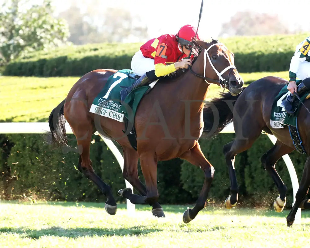 Chop - The Rood & Riddle Dowager G3 10-20-24 R08 Kee Finish 02 Keeneland