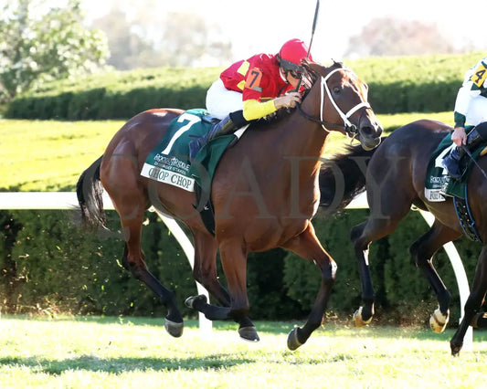 Chop - The Rood & Riddle Dowager G3 10-20-24 R08 Kee Finish 02 Keeneland