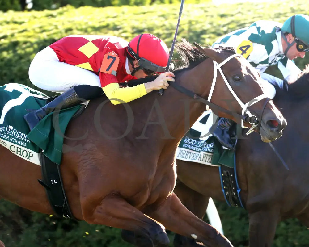 Chop - The Rood & Riddle Dowager G3 10-20-24 R08 Kee Finish 03 Keeneland