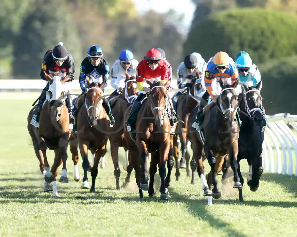 Chop - The Rood & Riddle Dowager G3 10-20-24 R08 Kee First Turn 01 Keeneland