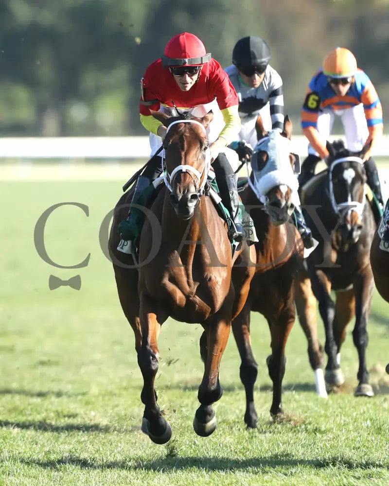Chop - The Rood & Riddle Dowager G3 10-20-24 R08 Kee Gallop Out 01 Keeneland