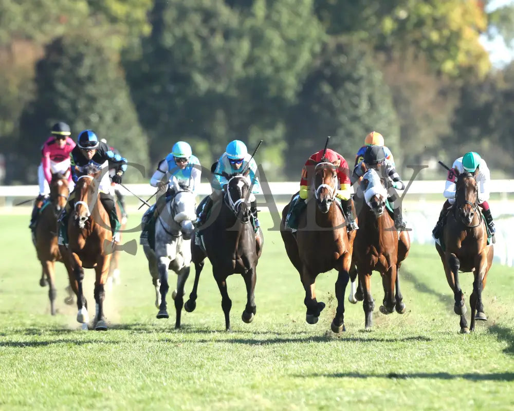 Chop - The Rood & Riddle Dowager G3 10-20-24 R08 Kee Head On 01 Keeneland