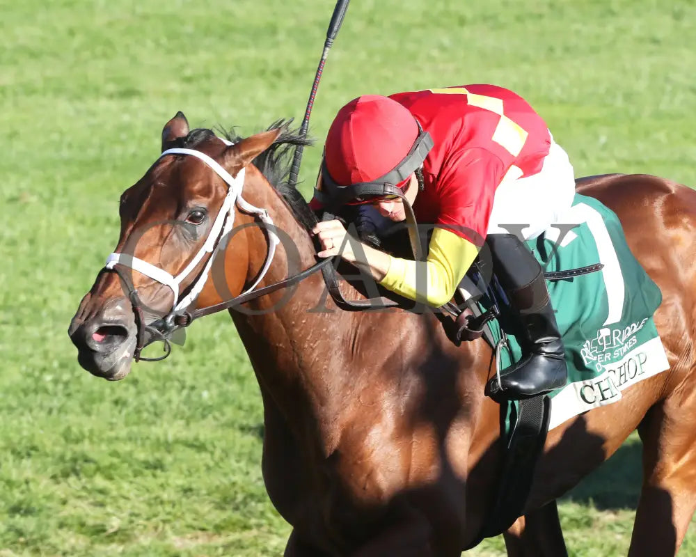 Chop - The Rood & Riddle Dowager G3 10-20-24 R08 Kee Inside Finish 01 Keeneland