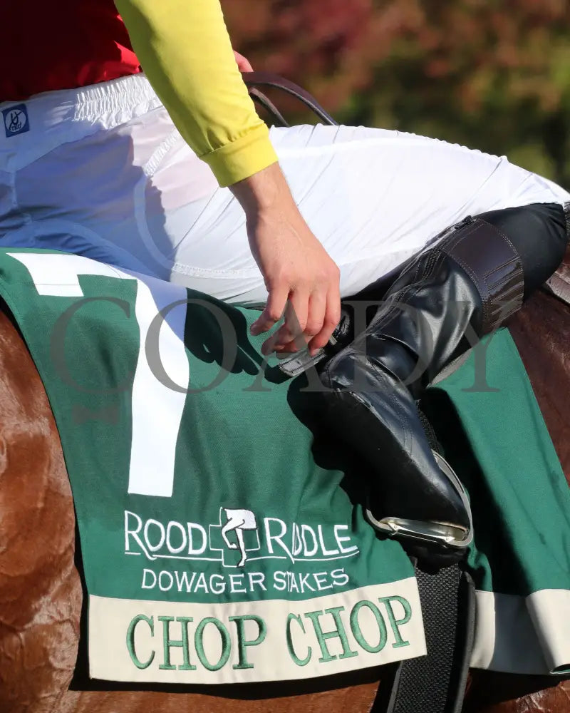 Chop - The Rood & Riddle Dowager G3 10-20-24 R08 Kee Saddle Towel 01 Keeneland