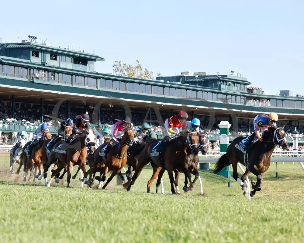 Chop - The Rood & Riddle Dowager G3 10-20-24 R08 Kee Sweeping Turn 01 Keeneland