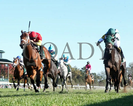 Chop - The Rood & Riddle Dowager G3 10-20-24 R08 Kee Under Rail 01 Keeneland