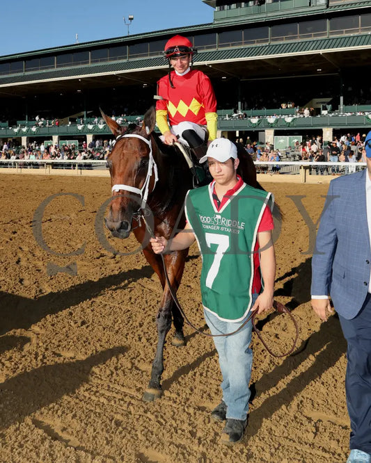 Chop - The Rood & Riddle Dowager G3 10-20-24 R08 Kee Walk In 01 Keeneland