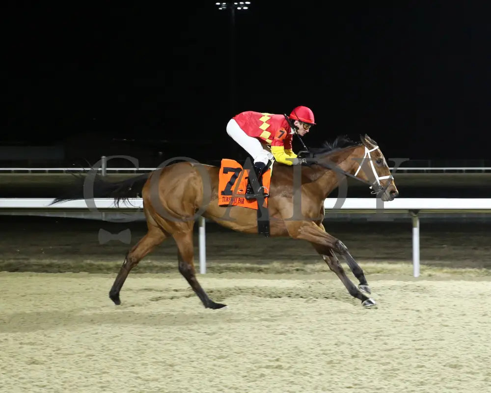 Chop - The Wintergreen 38Th Running 02-24-24 R07 Tp Finish 01 Turfway Park